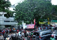DSC02141a
