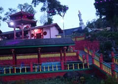 DSC03170