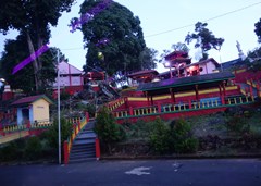 DSC03171
