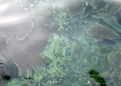 DSC03453a