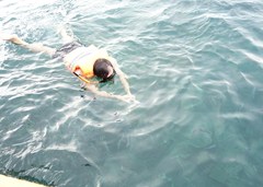DSC03497