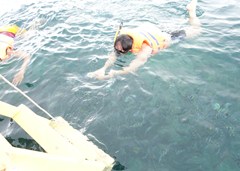 DSC03498
