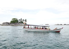 DSC03524