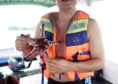 DSC03537a