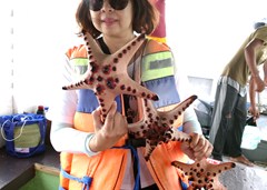 DSC03564a