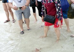 DSC03603a