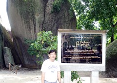 DSC03651a